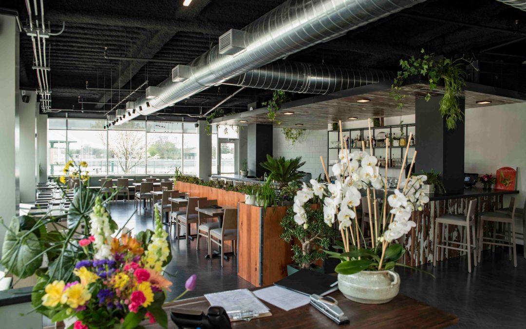 LINEAR Restaurant